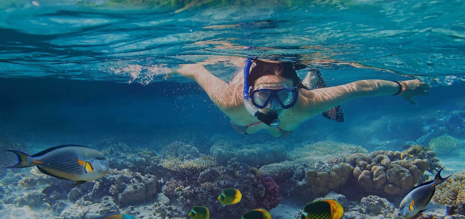 goa snorkiling