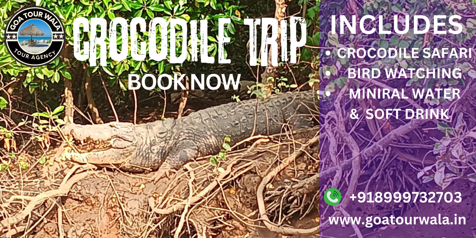 crocodilr trip