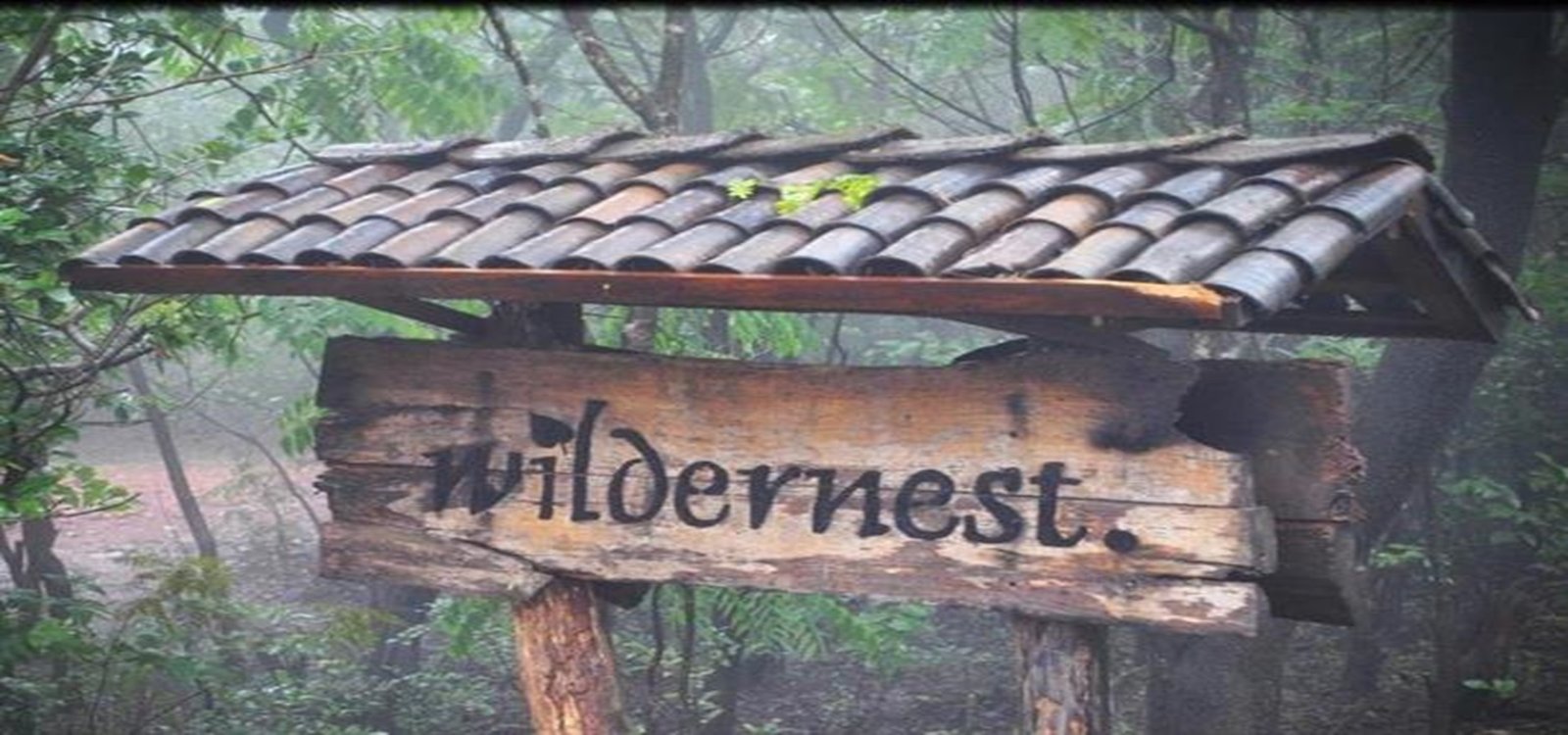 WILDERNEST TOUR